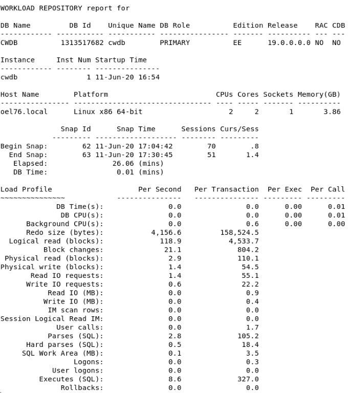 Text Report of local Single Instance