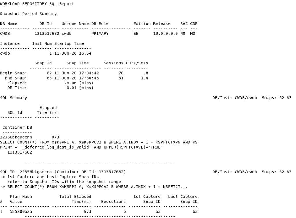 Workload Repository Text Report