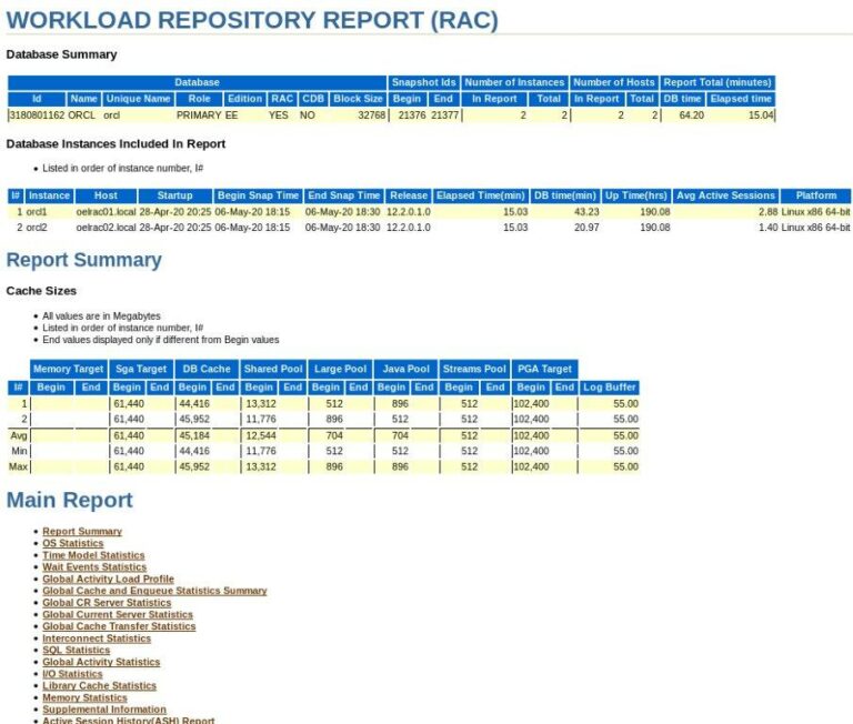 workload repository report
