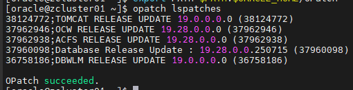 Rolling OS Upgrade in Oracle RAC 19c: From Oracle Linux 7 to Oracle Linux 9 3 2